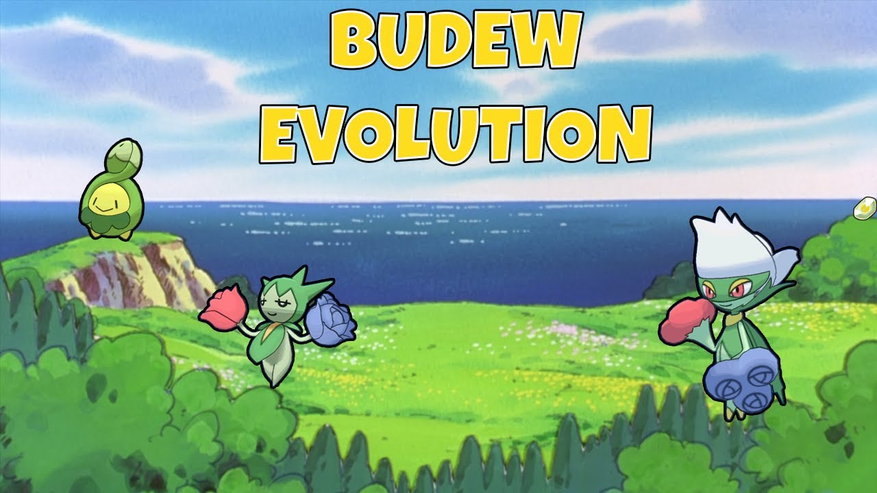 how to evolve budew