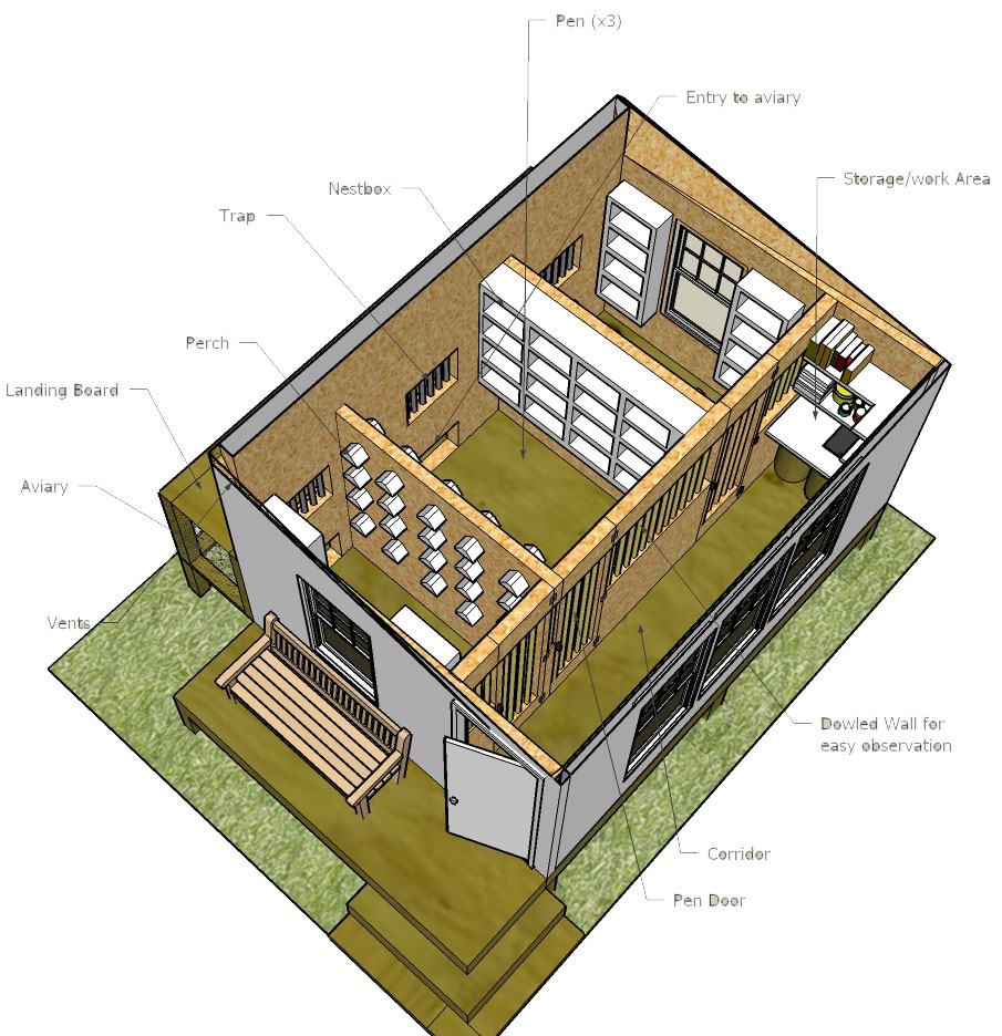 pigeon loft plans