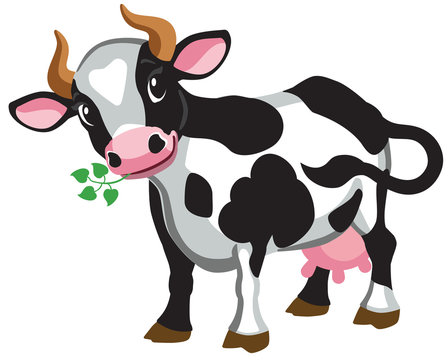 cartoon pictures cow