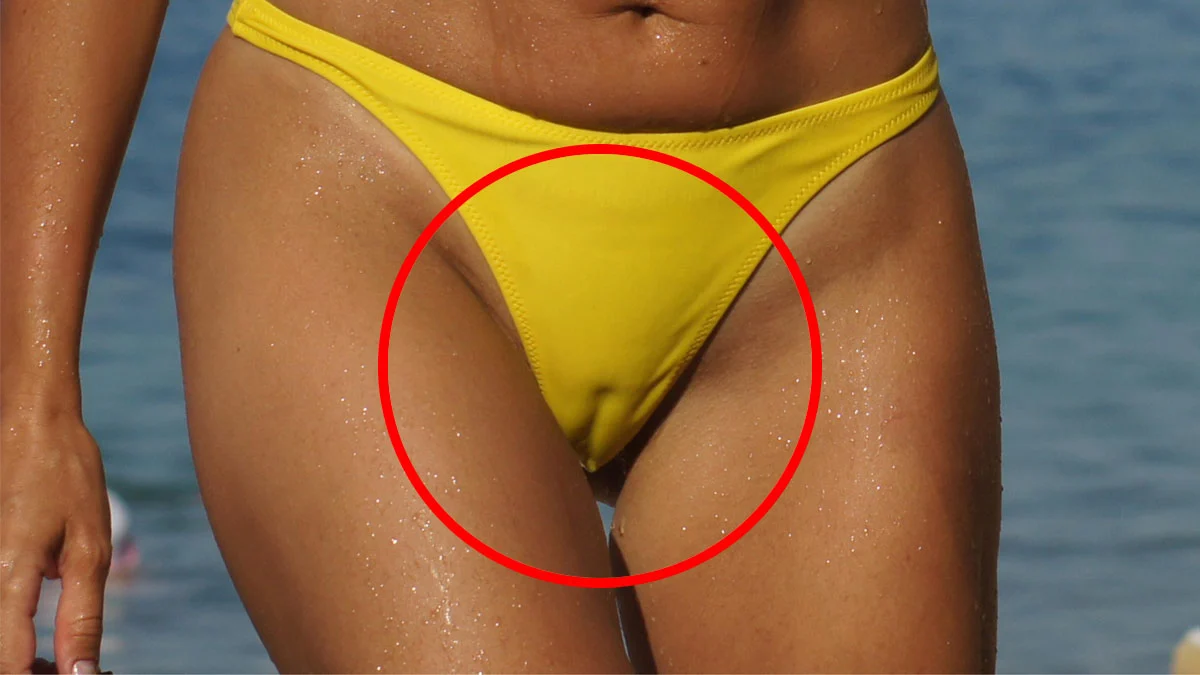 swimwear cameltoe