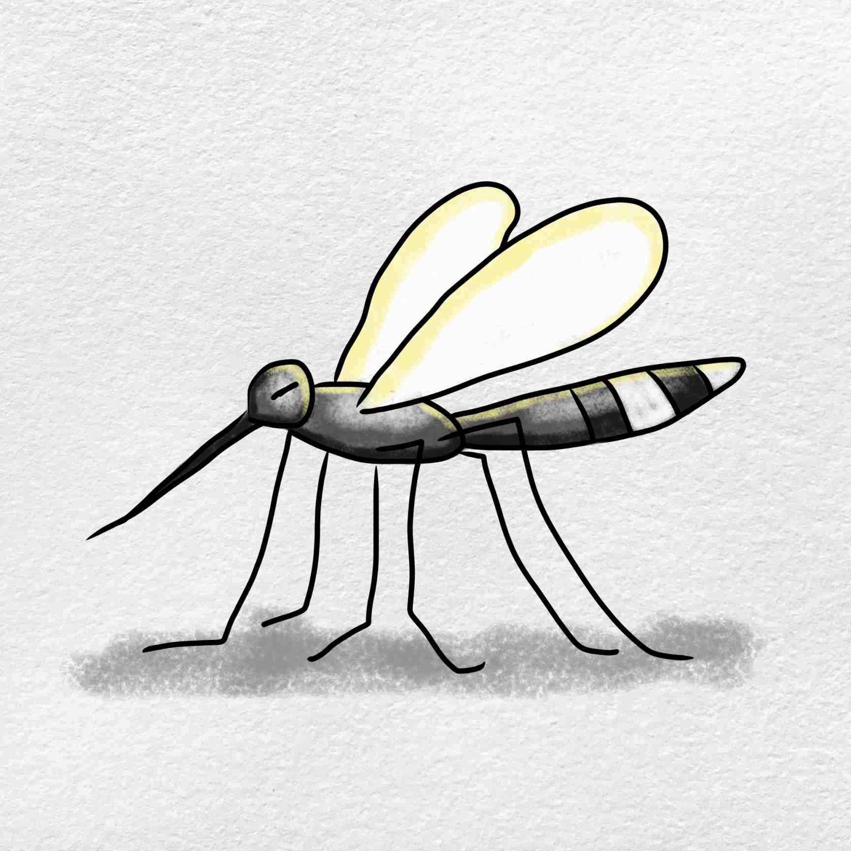 how to draw mosquito easy