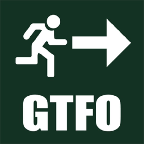 gtfo meaning in text