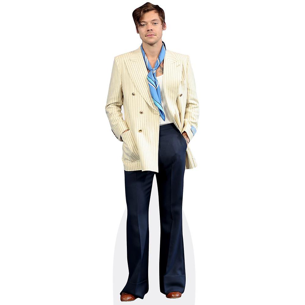 harry styles cutout