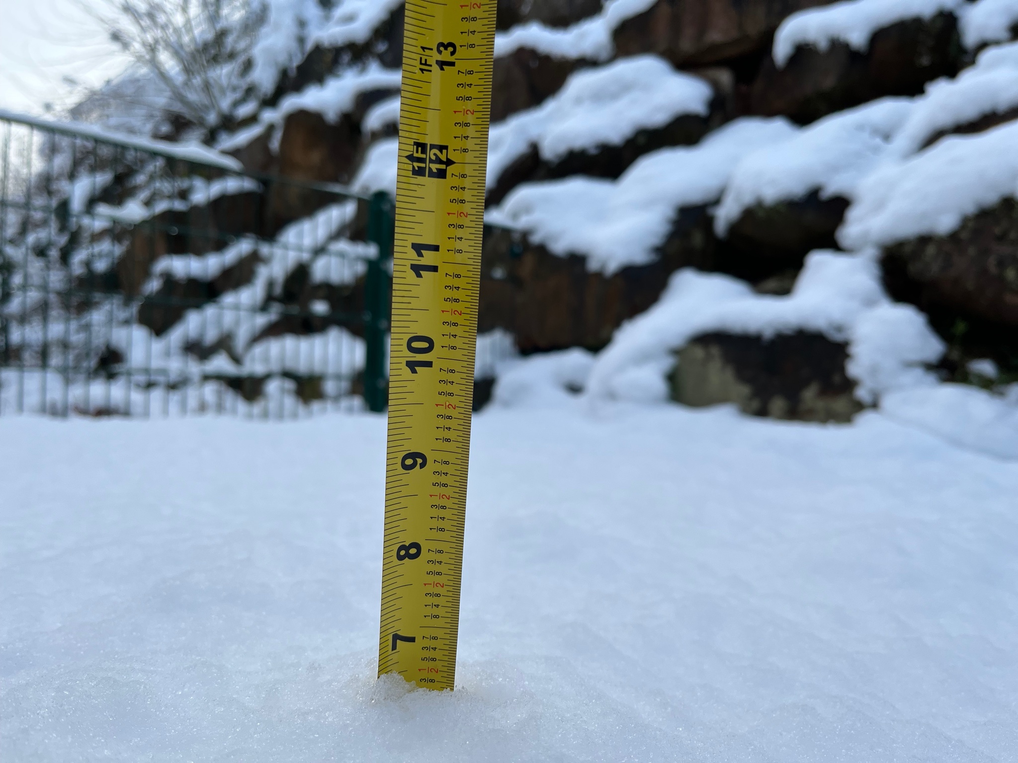 6.5inches in cm