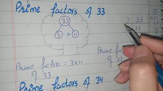 prime factorization of 33