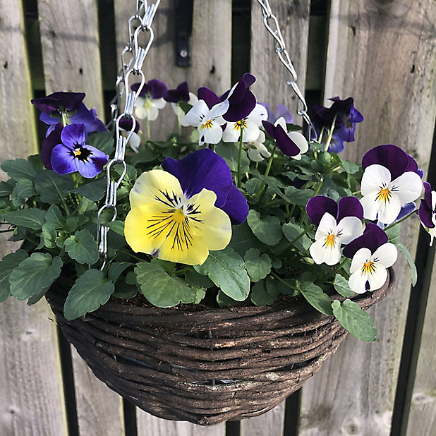 b&q hanging pots