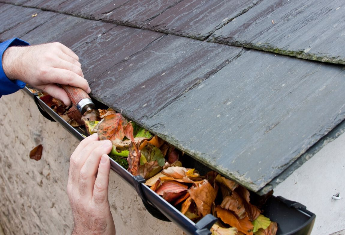 gutter cleaning services near me