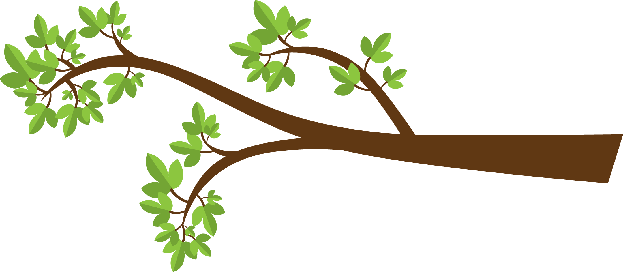 tree branch clipart