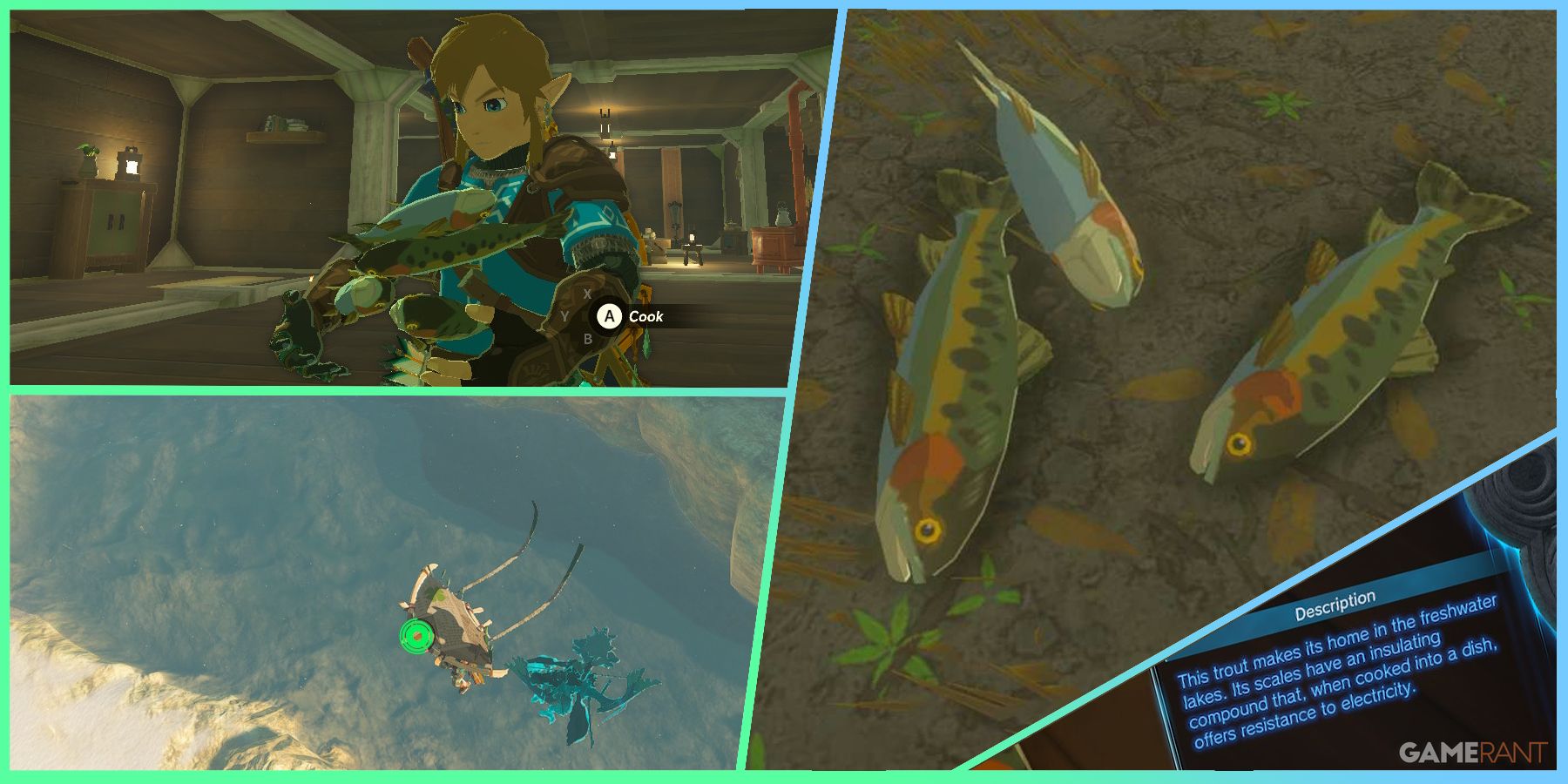 voltfin trout location botw