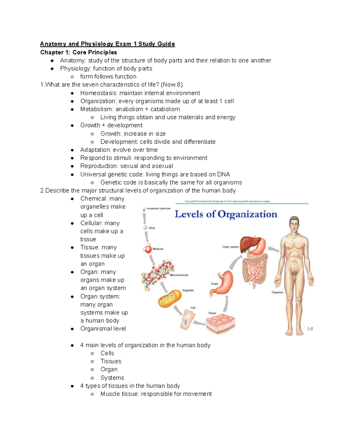 anatomy and physiology exam 1