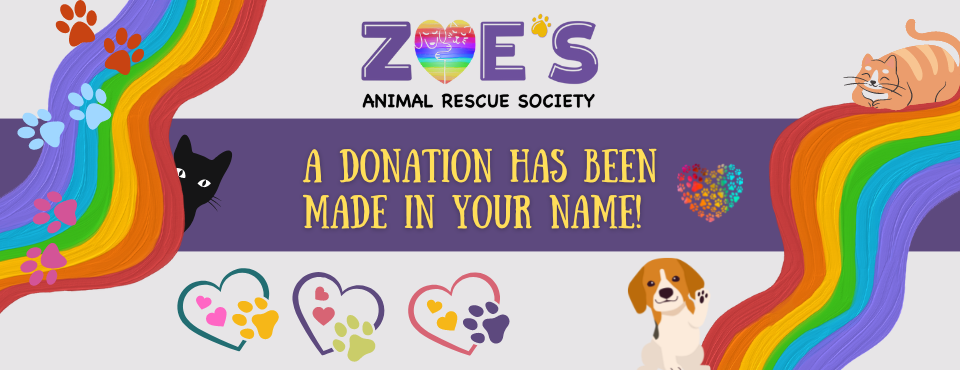 zoes animal rescue