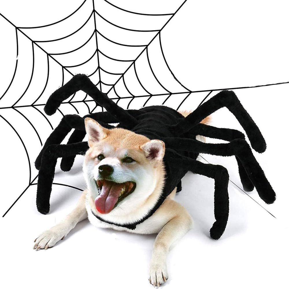 costume dhalloween pour chien