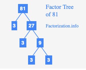 81 prime factor