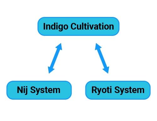 nij system