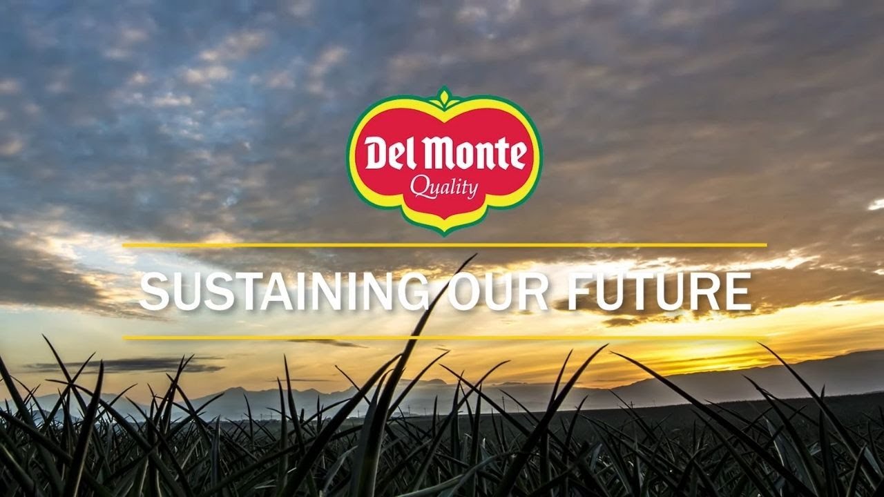 del monte philippines inc dmpi