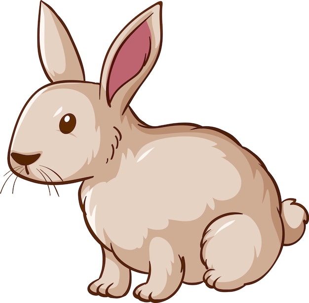 rabbits dibujos