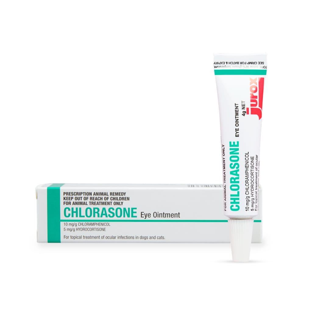 chloramphenicol eye ointment cats