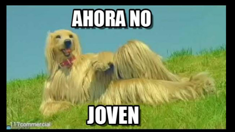 ahorita no joven meme