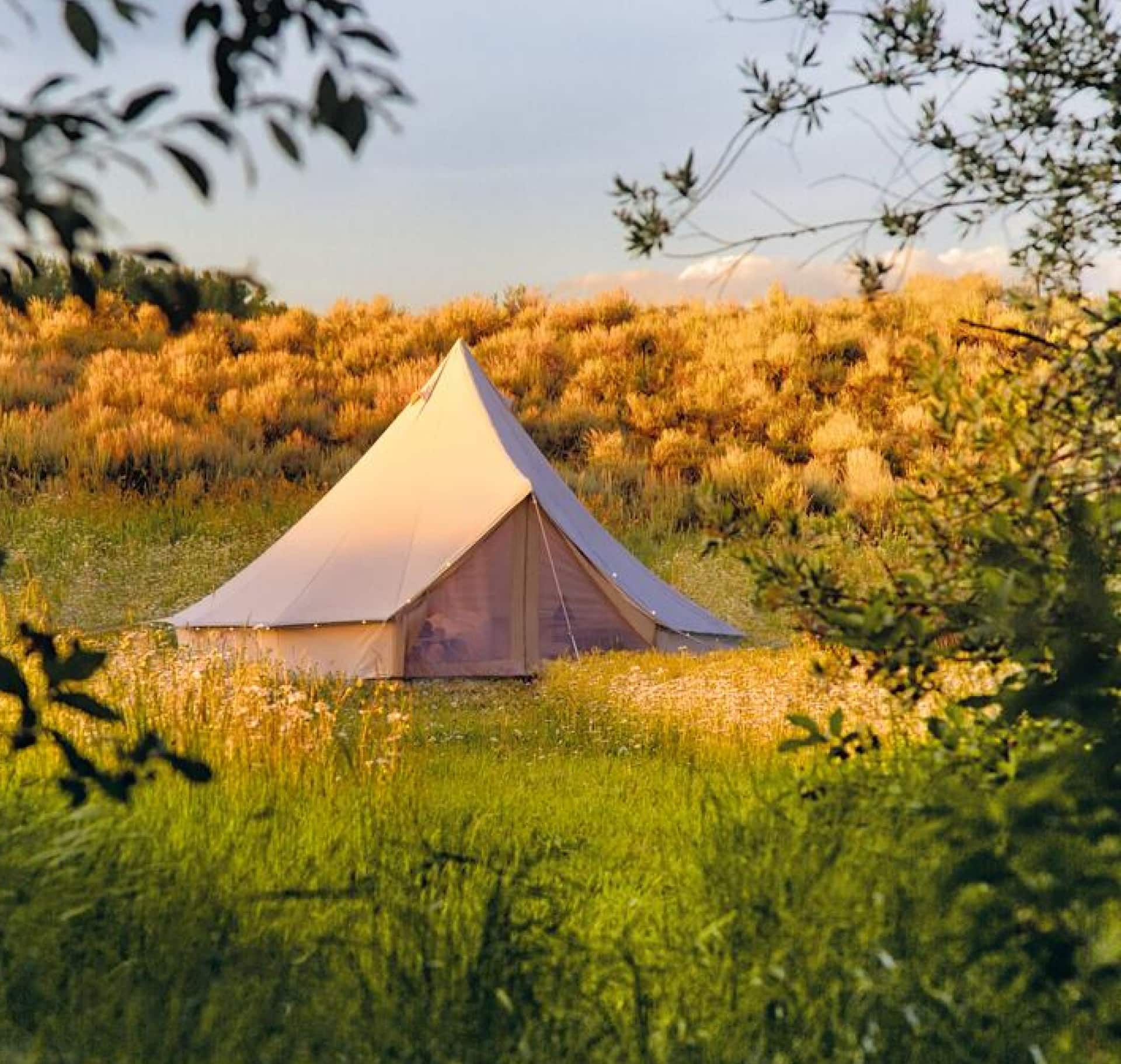 airbnb campsite