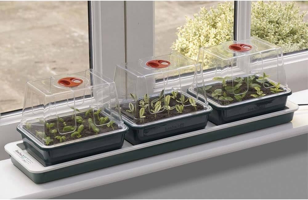 amazon propagator