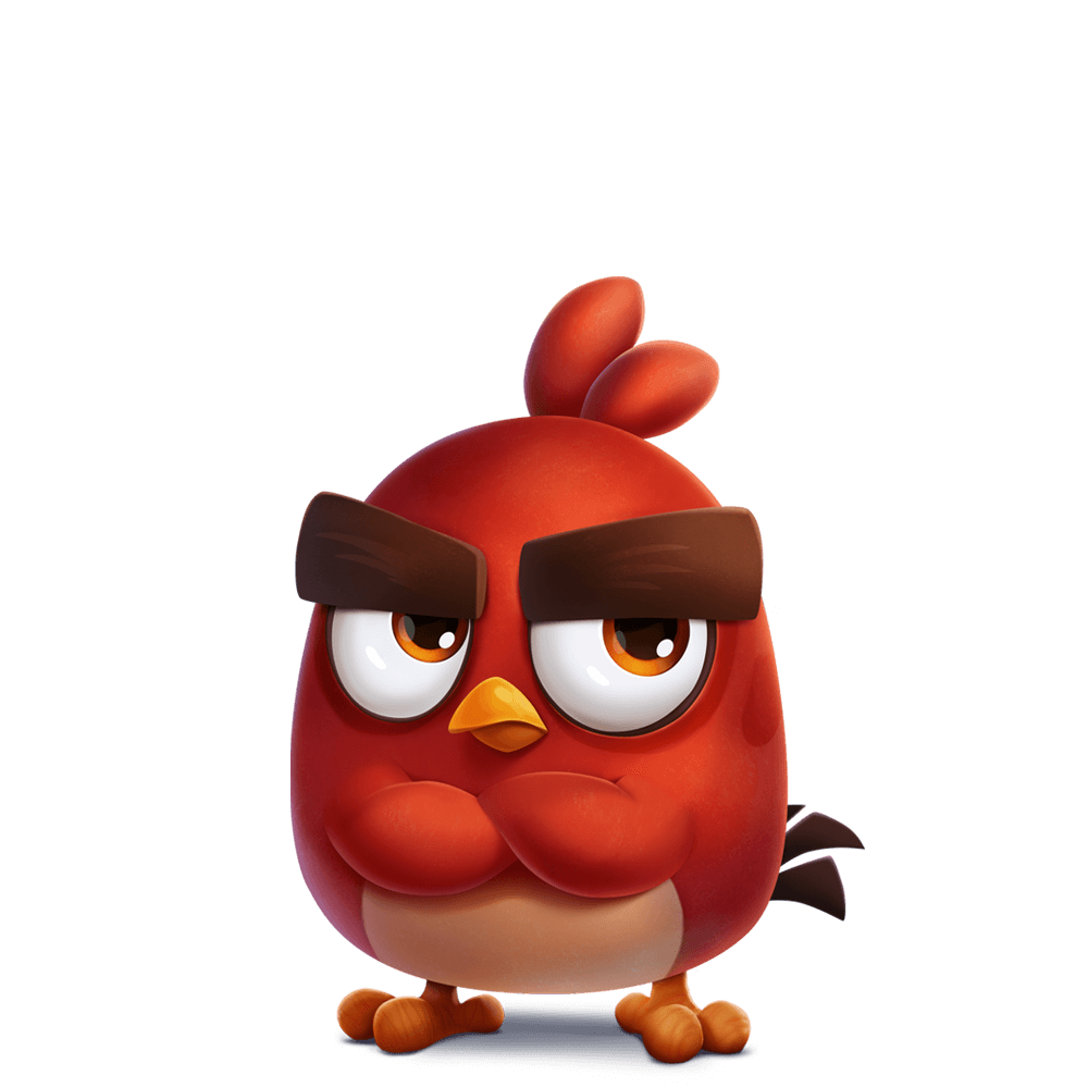 angry bird dp