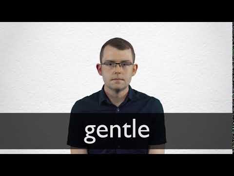 another word for gentle
