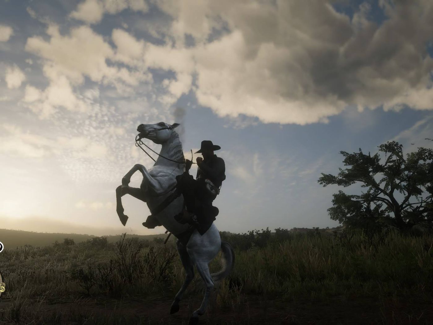 arabian white horse rdr2