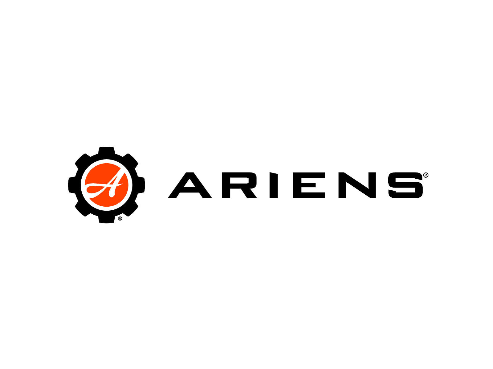 ariens efi battery charger