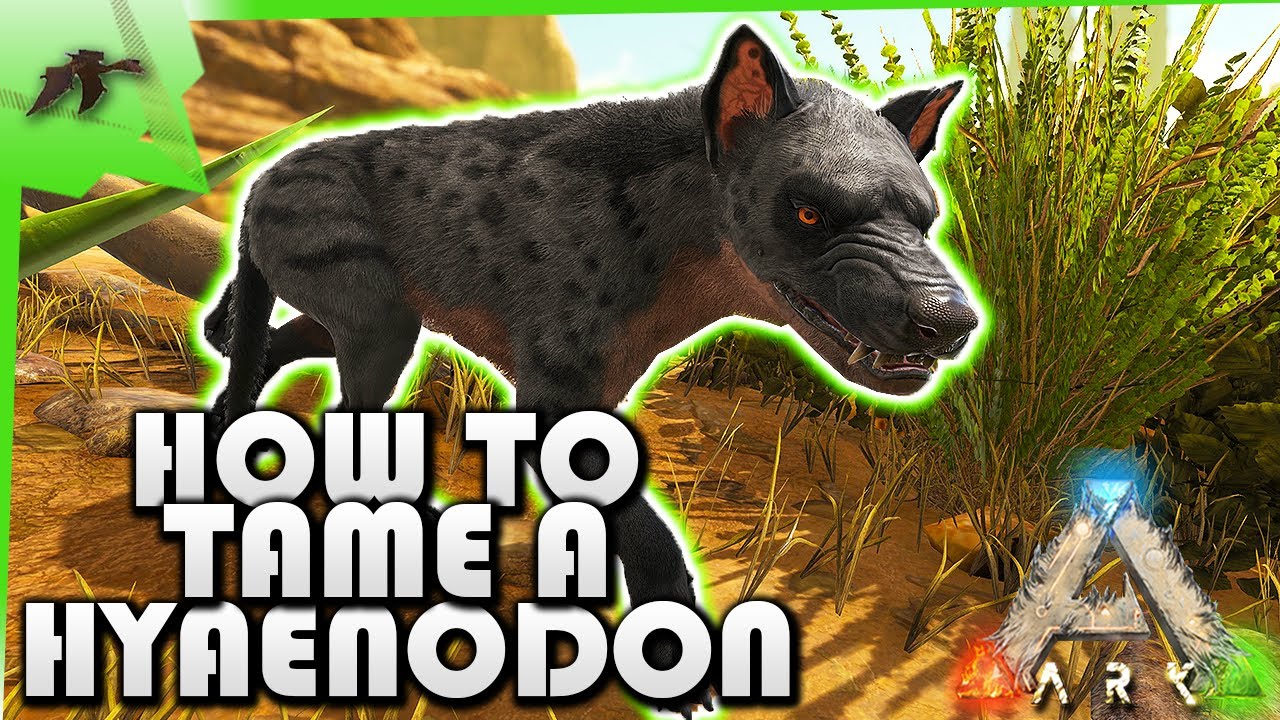 ark hyaenodon