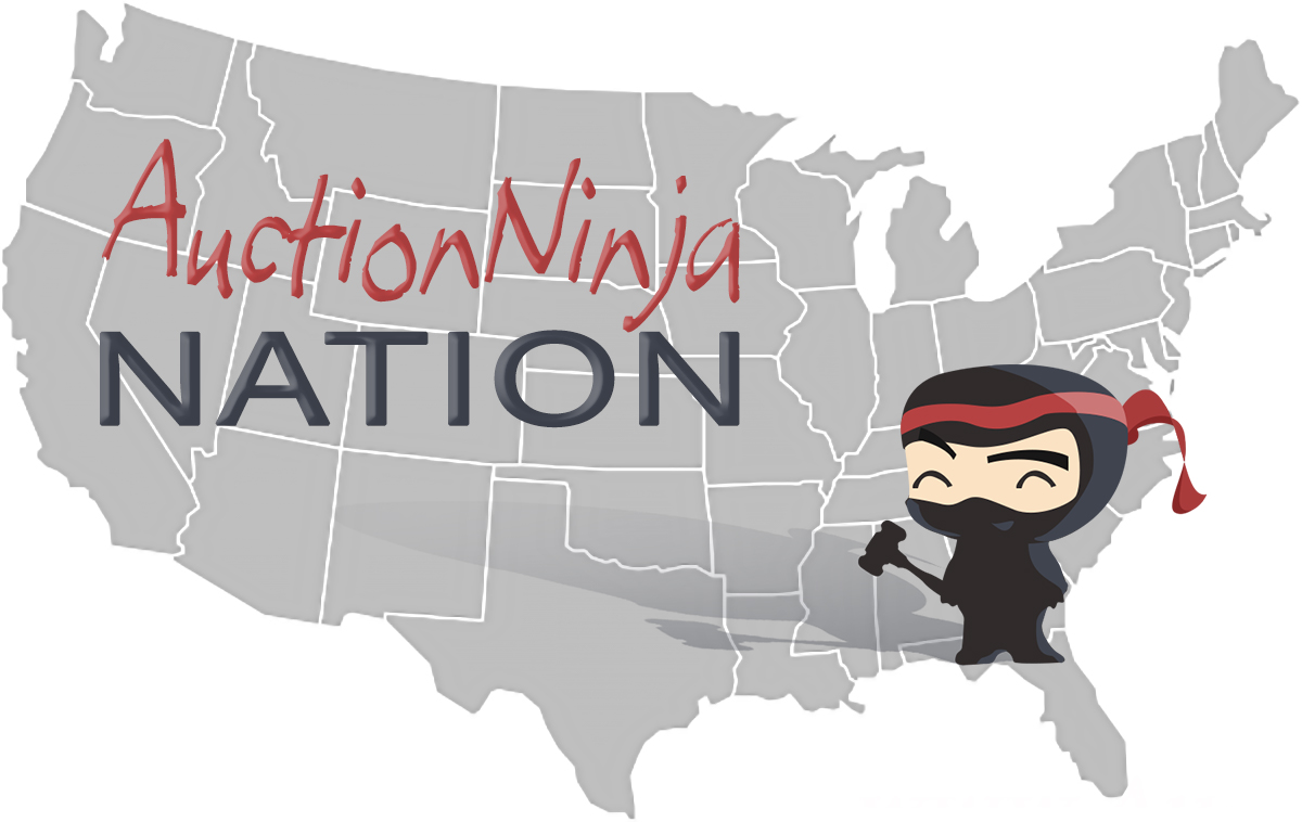 auction ninja