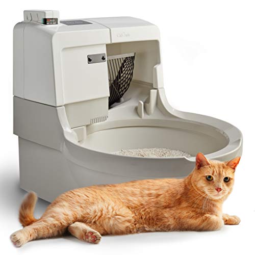 automatic cat litter tray