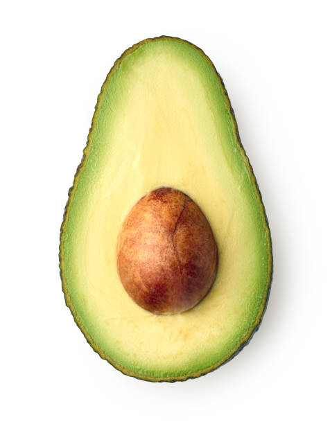 avocado stock photo