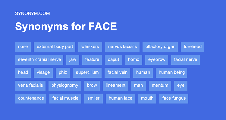 synonyms for face