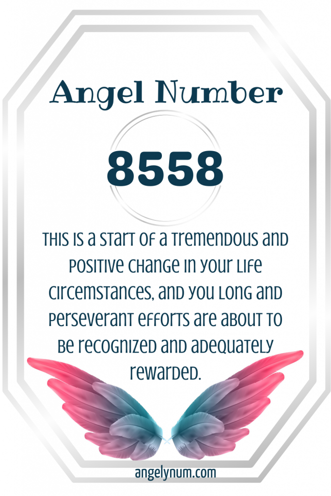 8558 angel number