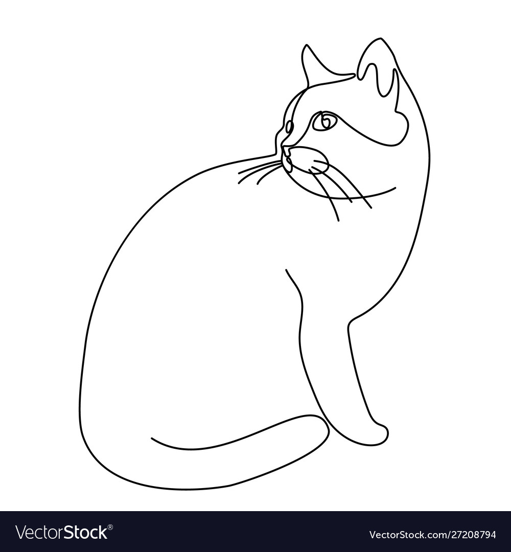 line drawings of cats