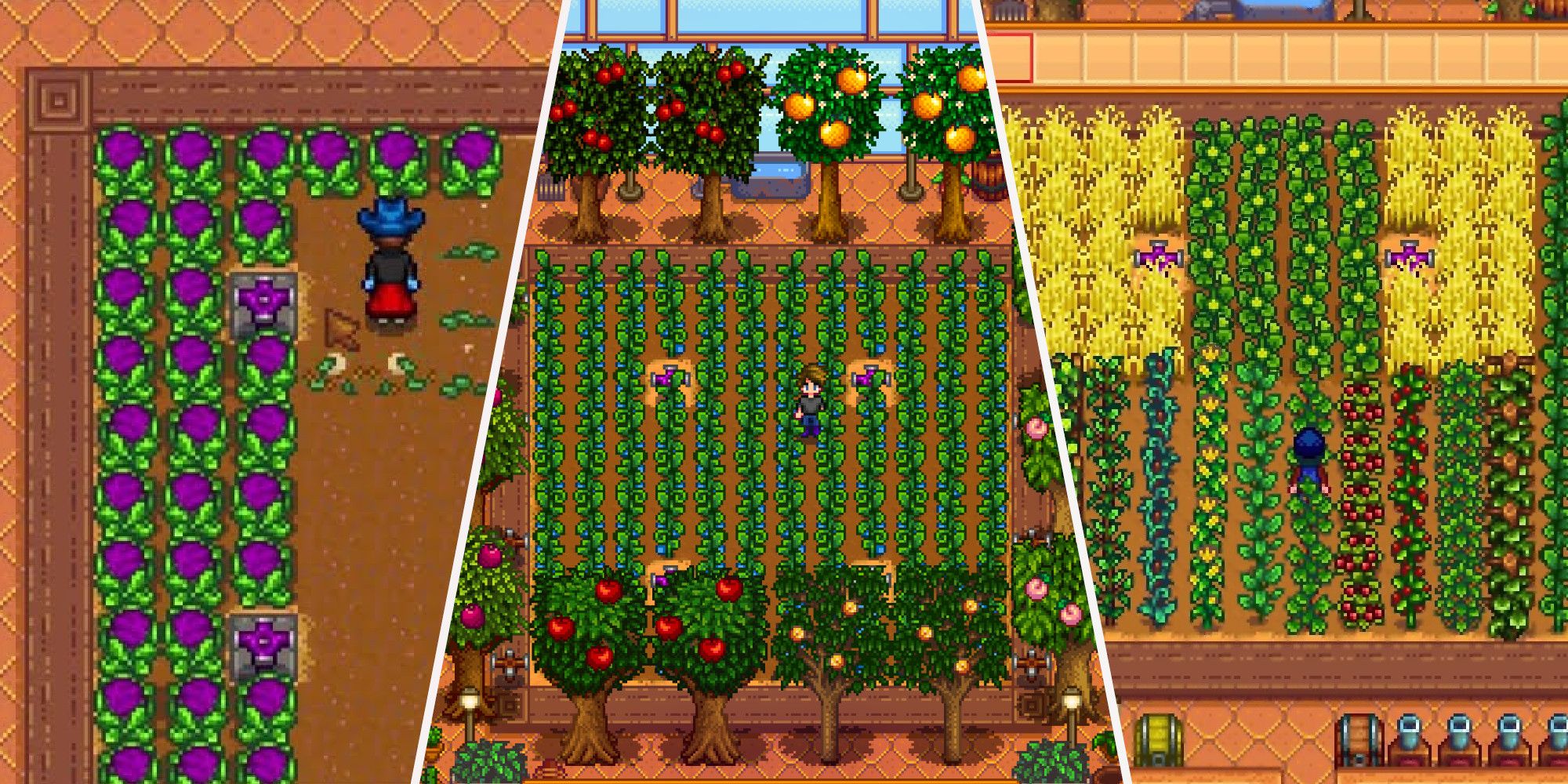 stardew best greenhouse crop