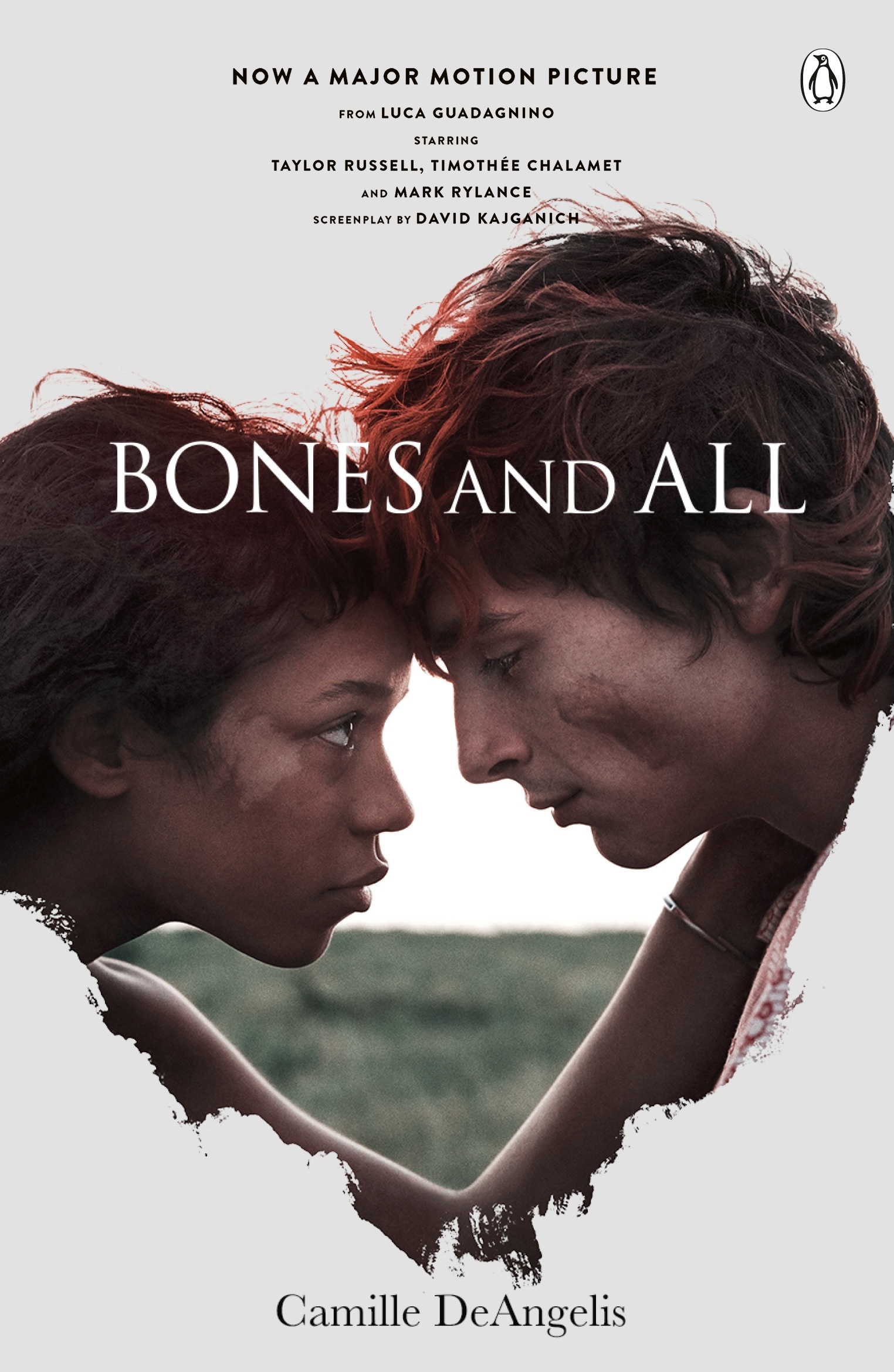 bones and all book age rating