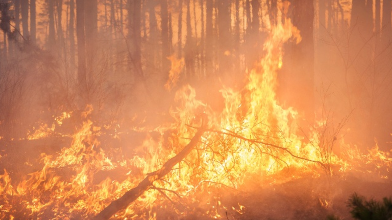 fires in grande prairie