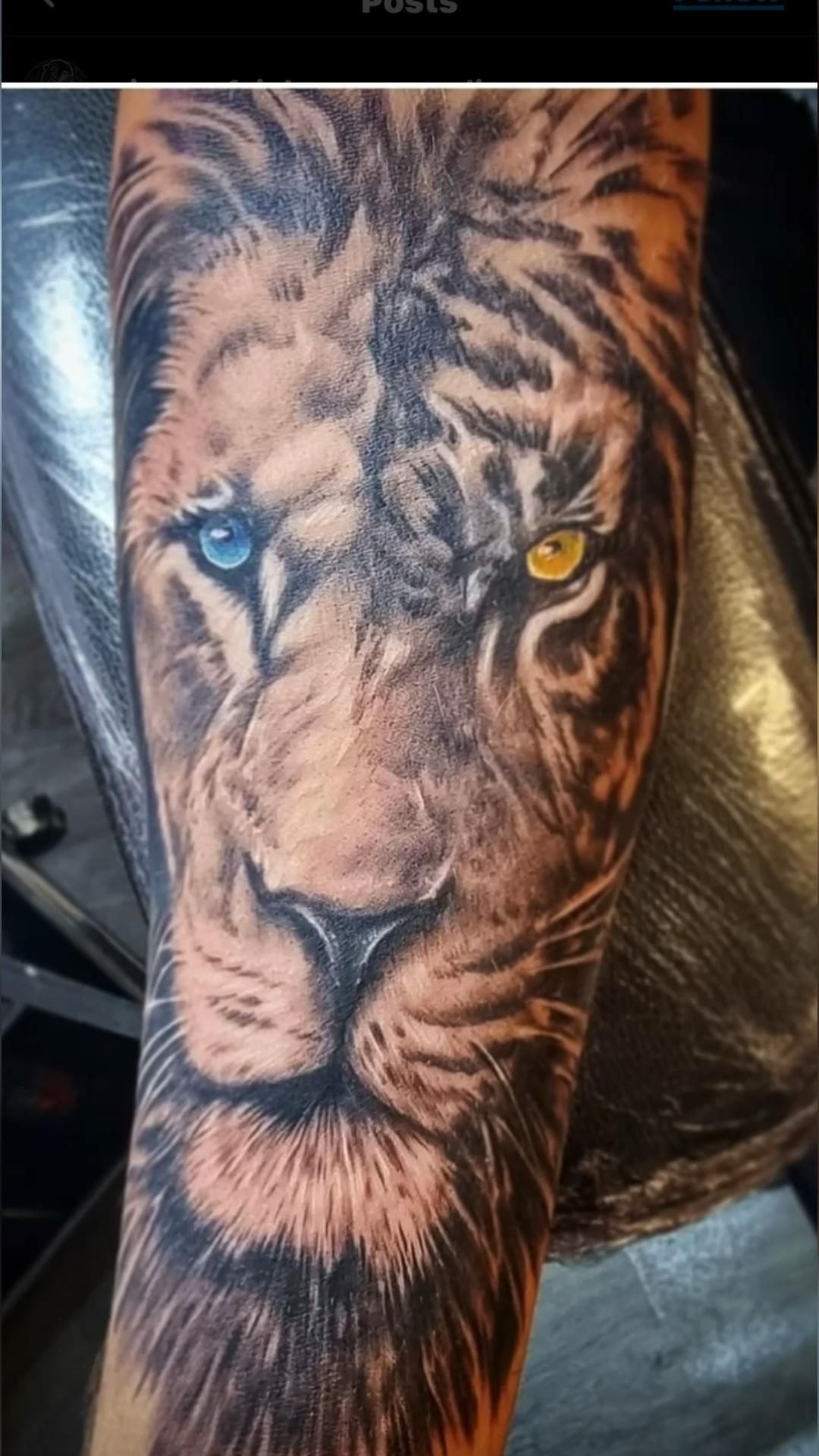 liger tattoo