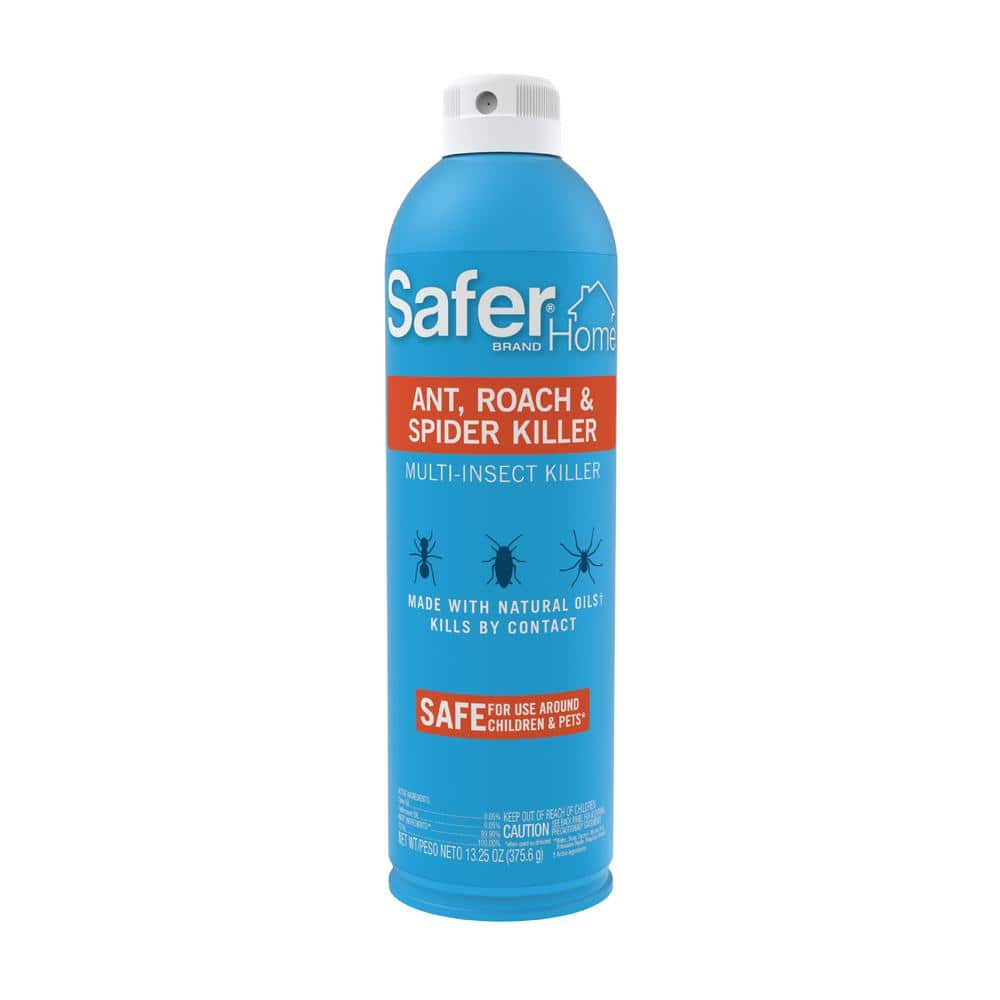 animal safe ant killer