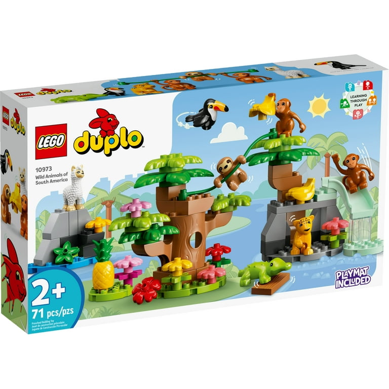 duplo blocks age