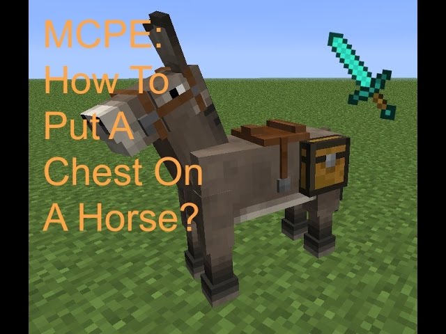 how to place a chest on a horse in minecraft