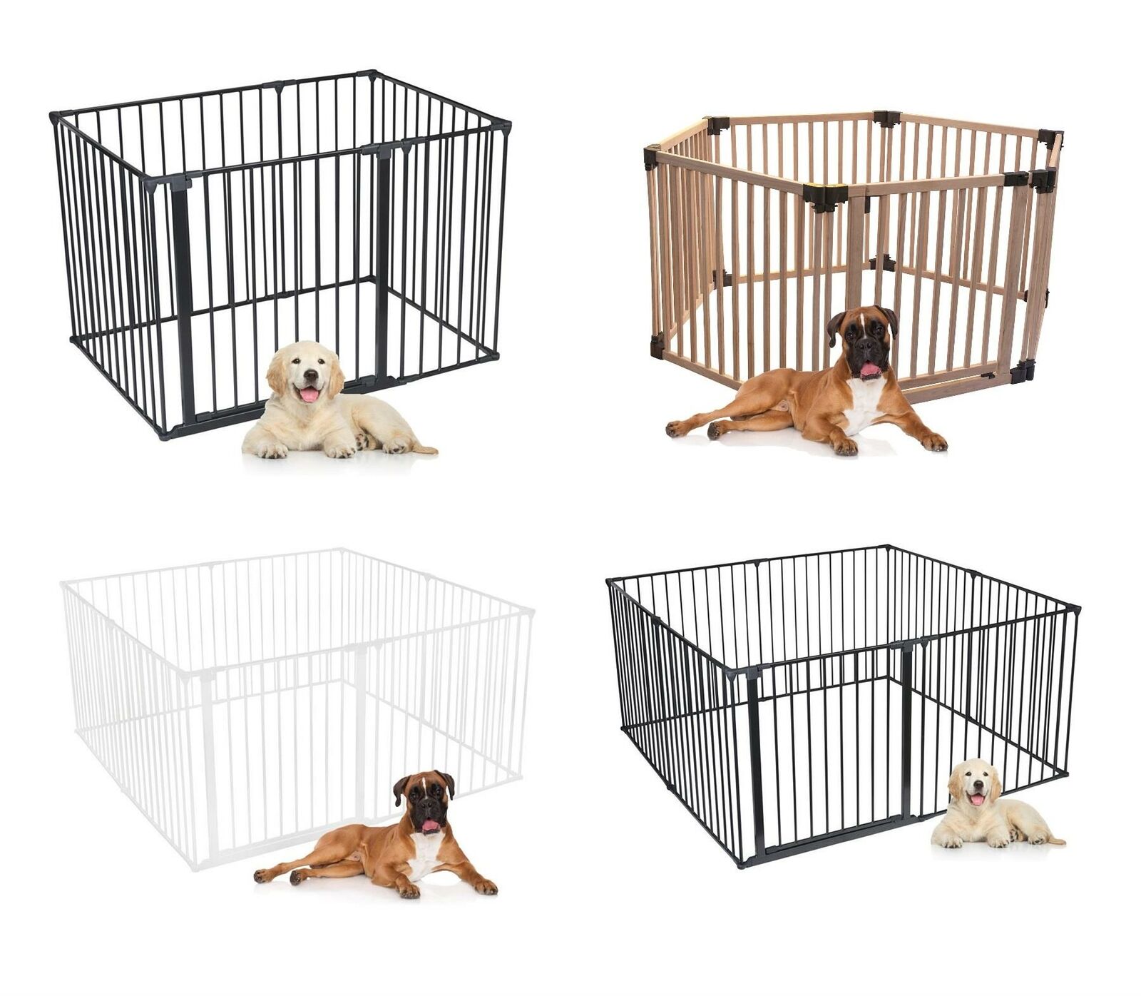 dog pen indoor