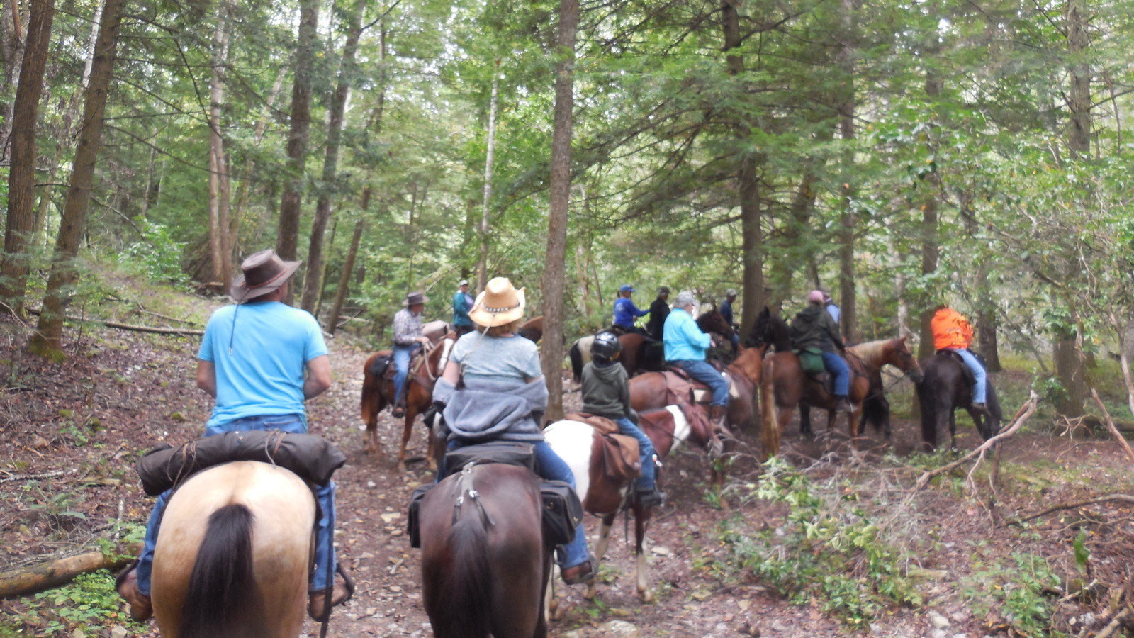 horseback riding murfreesboro tn