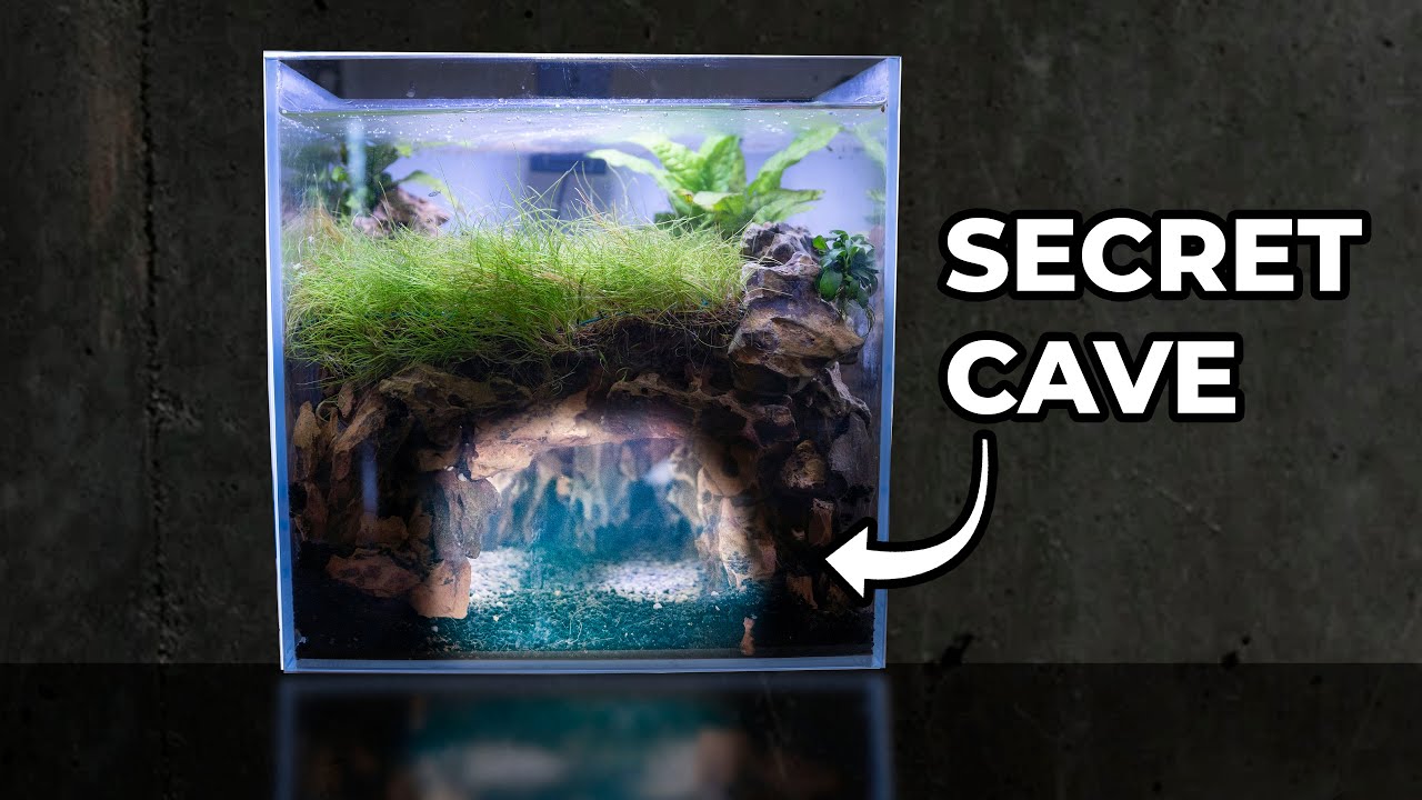 fish tank cave