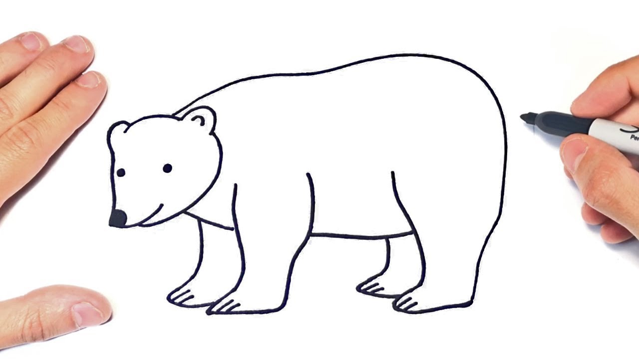 draw polar bear easy