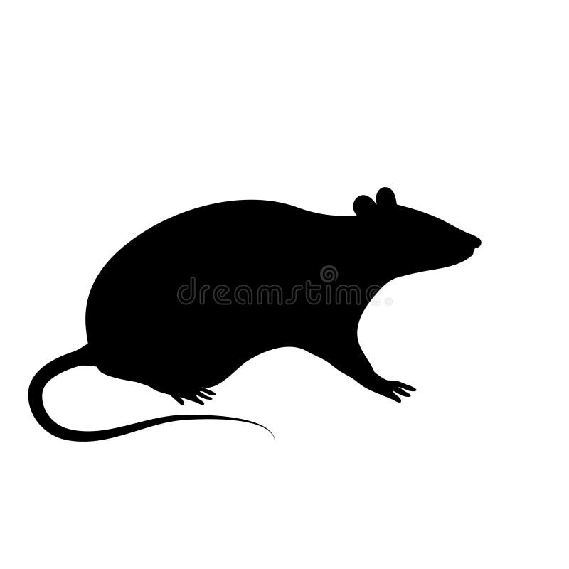 silhouette of rat