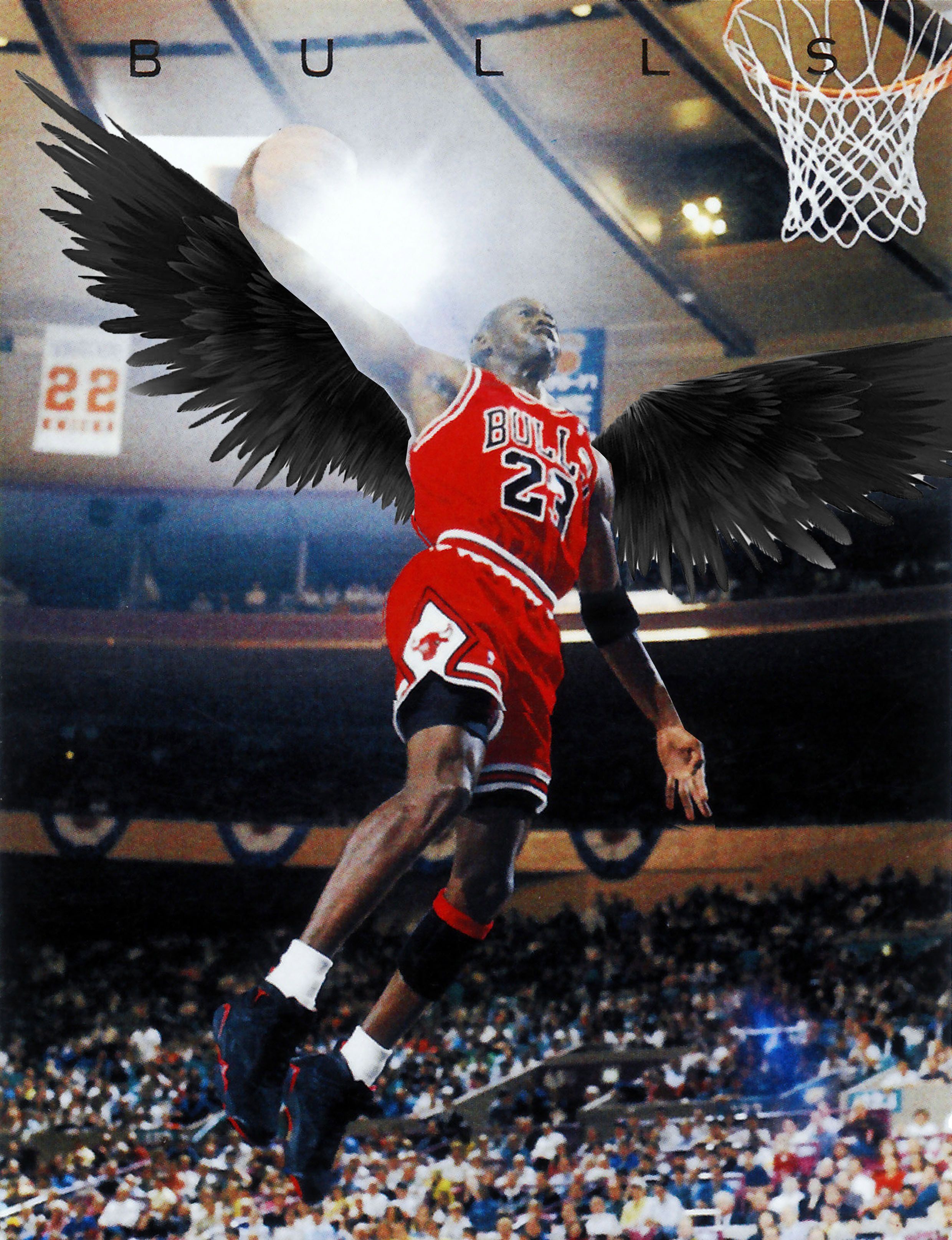 michael jordan flying