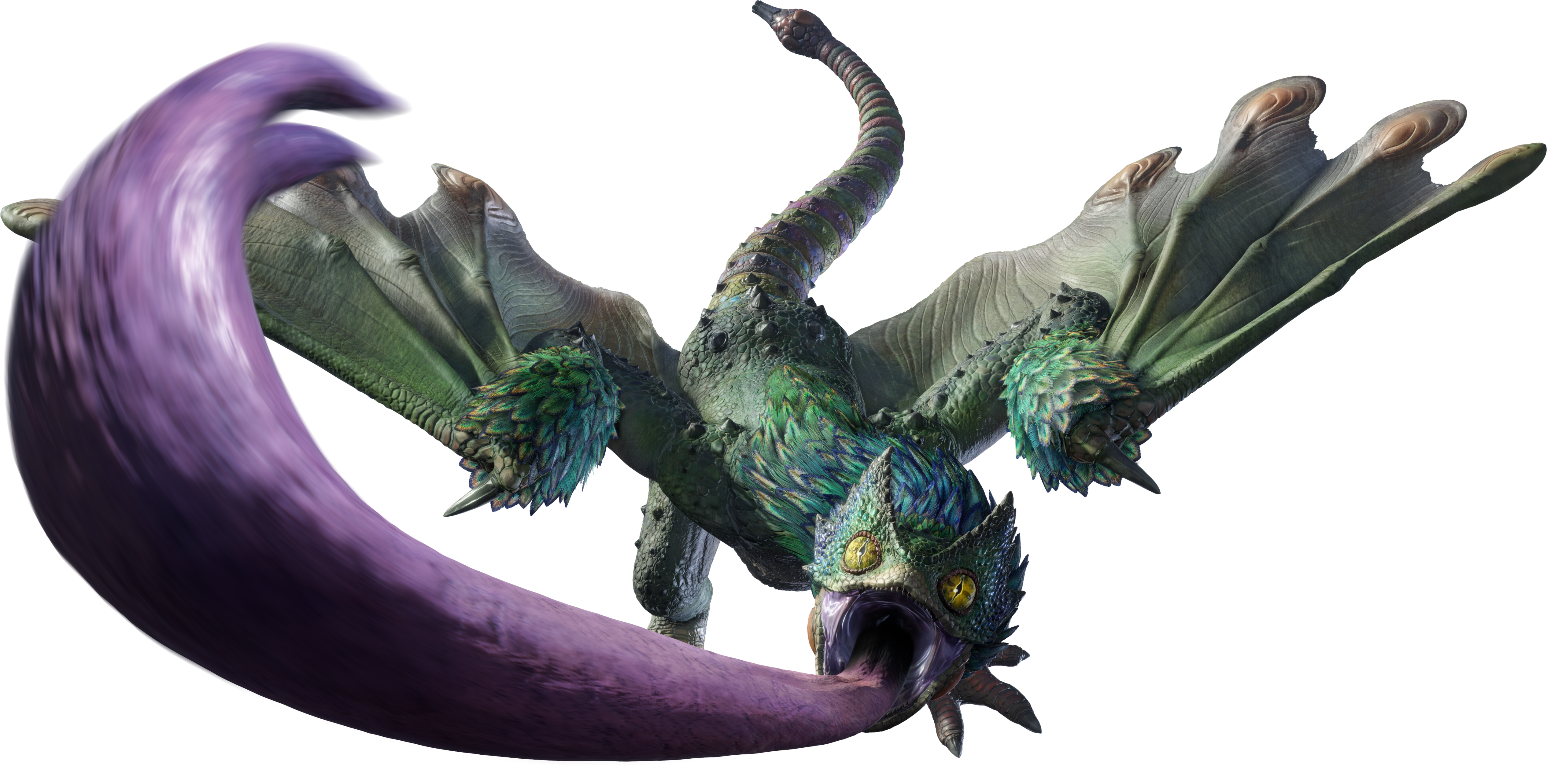 pukei pukei tree