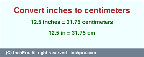 12.5 inches to cm